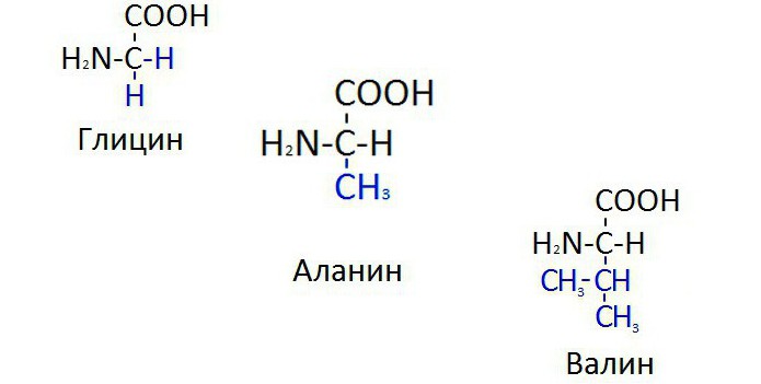 структурная формула аминокислот
